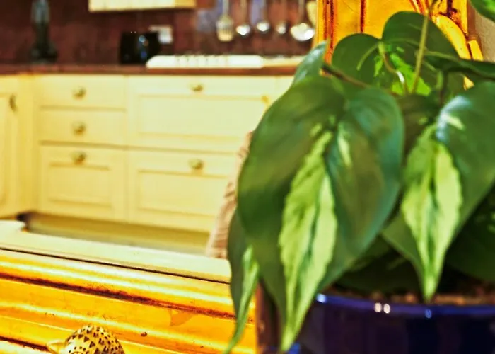 Apartment Ros - Charming 3 Bedroom Maisonette Balzan